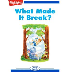 What Made It Break?, Barbara Kanninen, Ph.D.