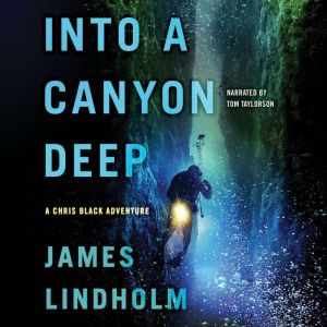 Into a Canyon Deep, James Lindholm