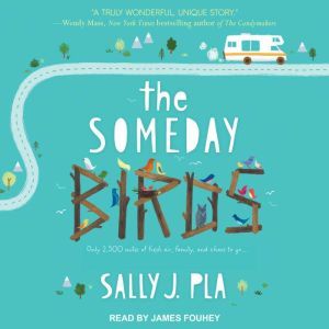 The Someday Birds, Sally J. Pla