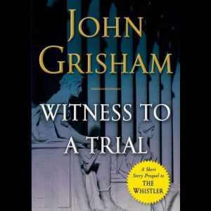 index witness to a trial grisham