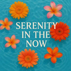 Serenity in the Now Book summary  a..., Skye Emerson