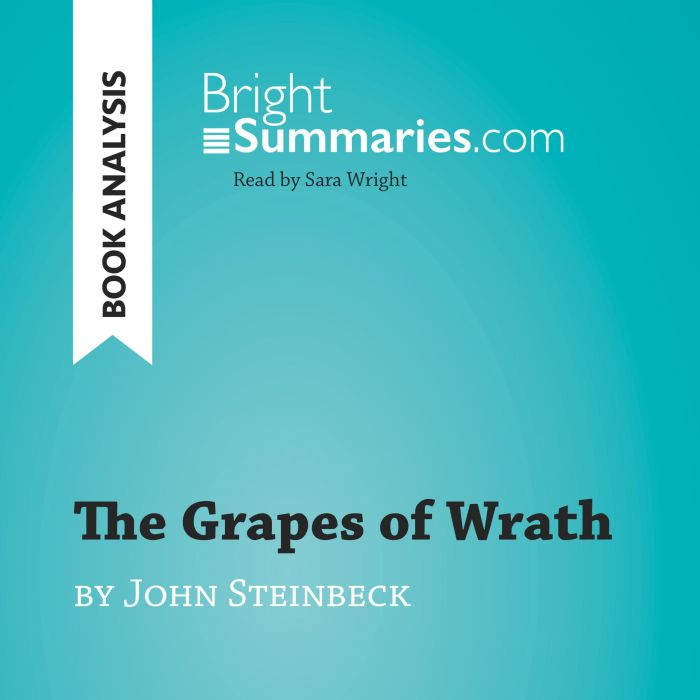 The Grapes of Wrath by John Steinbeck..., Bright Summaries