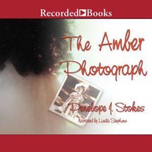The Amber Photograph, Penelope Stokes