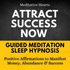 Attract Success Now Guided Meditation..., Meditative Hearts
