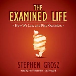 The Examined Life, Stephen Grosz