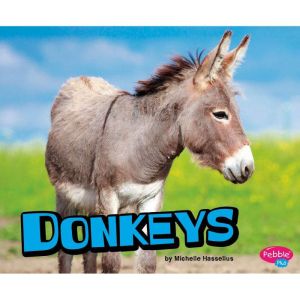 Donkeys, Michelle Hasselius