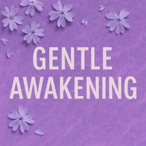Gentle Awakening Book summary anal..., Skye Emerson