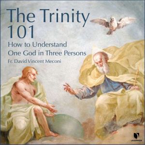 The Trinity 101, David Vincent Meconi