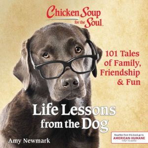 Chicken Soup for the Soul Life Lesso..., Amy Newmark