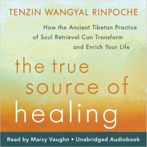 The True Source of Healing: How the Ancient Tibetan Practice of Soul Retrieval Can Transform and Enrich Your Life