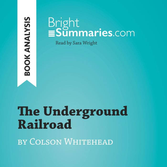 The Underground Railroad by Colson Wh..., Bright Summaries
