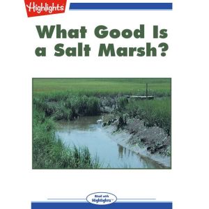 What Good Is a Salt Marsh?, George W. Frame