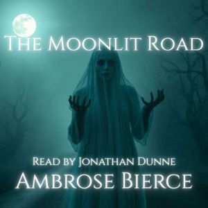 The Moonlit Road