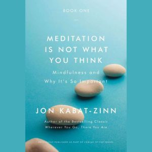 Meditation Is Not What You Think, Jon KabatZinn