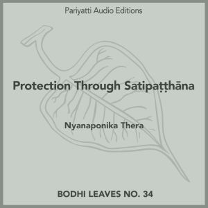 Protection Through Satipahna