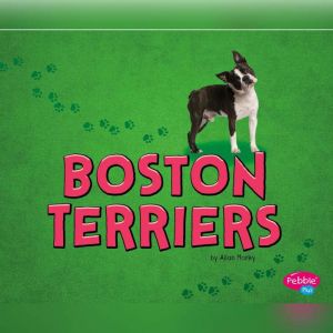 Boston Terriers, Allan Morey