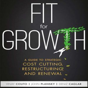 Fit for Growth, Vinay Couto