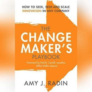 The Change Makers Playbook, Amy J. Radin