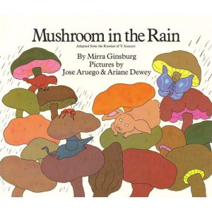 Mushroom in the Rain