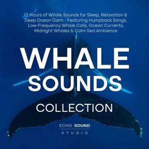 Whale Sounds Collection 12 Hours of ..., Echo Sound Studio