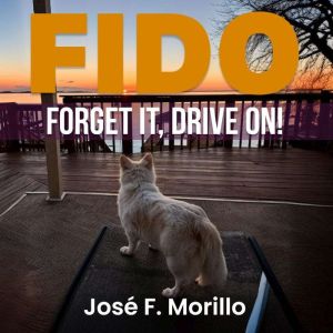 FIDO: FORGET IT, DRIVE ON!