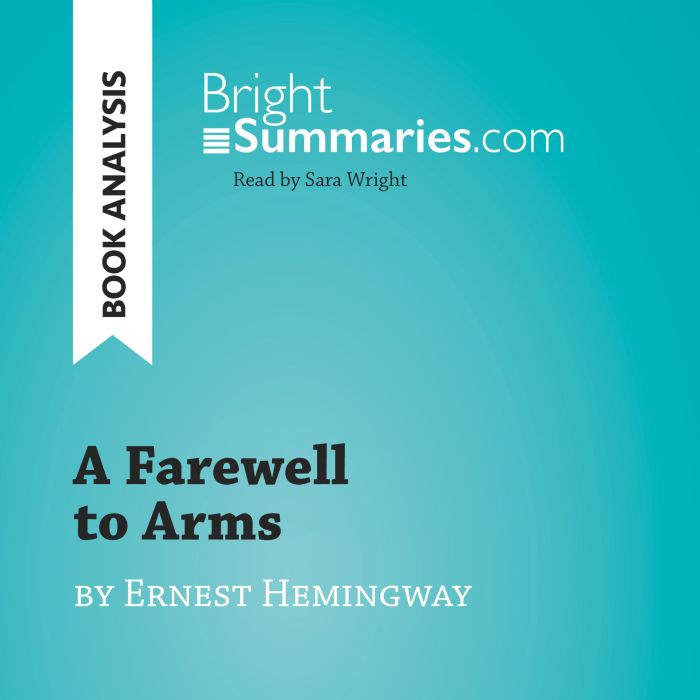 A Farewell to Arms by Ernest Hemingwa..., Bright Summaries