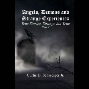 Angels Demons and Strange Experience..., Curtis D Schweiger Jr.