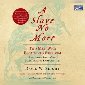 A Slave No More, David W. Blight
