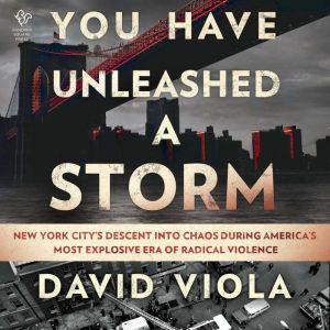 You Have Unleashed a Storm: New York City's Descent into Chaos During America's Most Explosive Era of Radical Violence