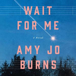 Wait for Me, Amy Jo Burns