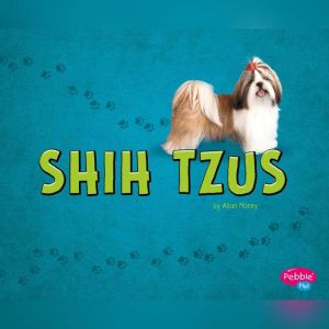 Shih Tzus