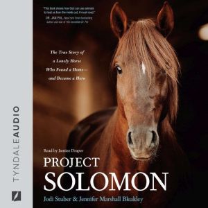 Project Solomon: The True Story of a Lonely Horse Who Found a Home--and Became a Hero, Jodi Stuber