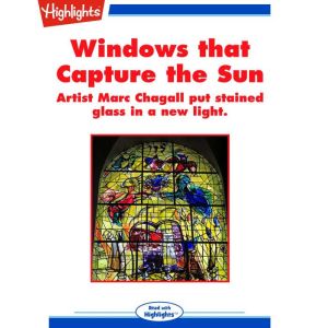 Windows That Capture the Sun, Anna Levine
