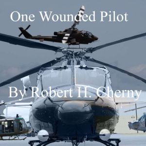 One Wounded Pilot: And the Family who Loves Her