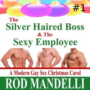 The Silver Haired Boss  The Sexy Emp..., Rod Mandelli