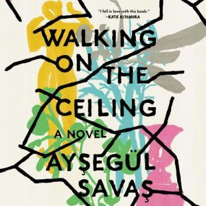 Walking on the Ceiling, AysegAl Savas