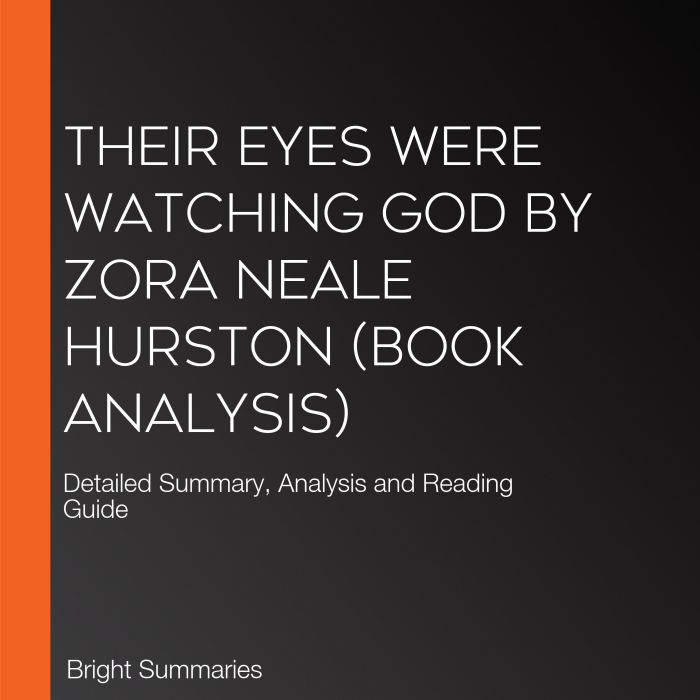 Their Eyes Were Watching God by Zora ..., Bright Summaries