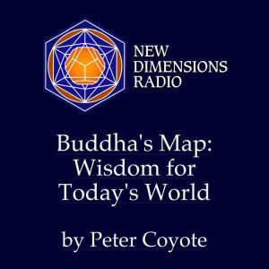 Buddhas Map: Wisdom for Todays World
