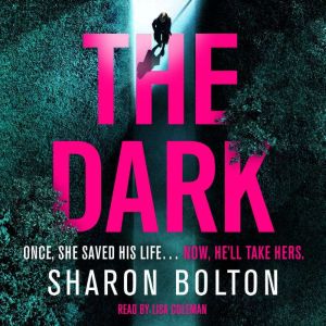 The Dark, Sharon Bolton