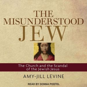 The Misunderstood Jew, AmyJill Levine