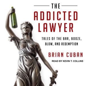 The Addicted Lawyer, Brian Cuban