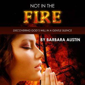 Not in the Fire: Discovering God's Will in a Gentle Silence