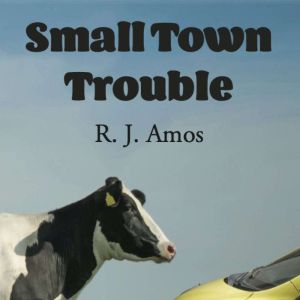 Small Town Trouble, R. J. Amos