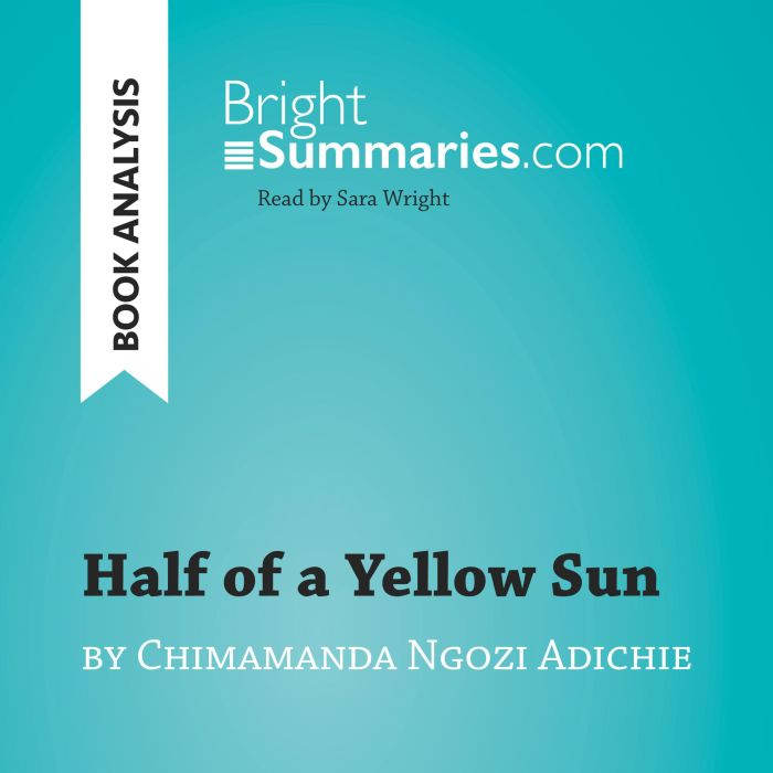 Half of a Yellow Sun by Chimamanda Ng..., Bright Summaries