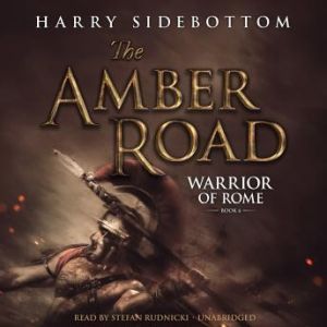 The Amber Road, Harry Sidebottom