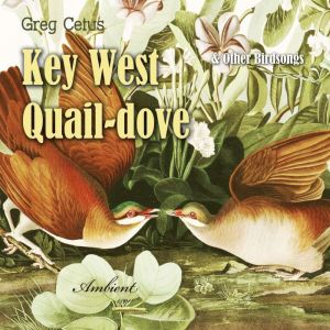 Key West Quaildove and Other Birdson..., Greg Cetus