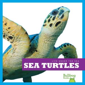 Sea Turtles, Cari Meister