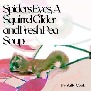 Spiders Eyes, A Squirrel Glider  and ..., Sally Cook