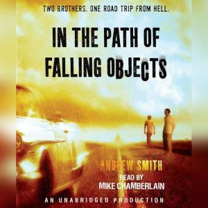 In the Path of Falling Objects, Andrew Smith