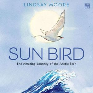 Sun Bird: The Amazing Journey of the Arctic Tern